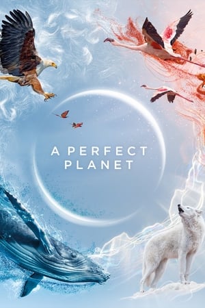 A Perfect Planet Season 1