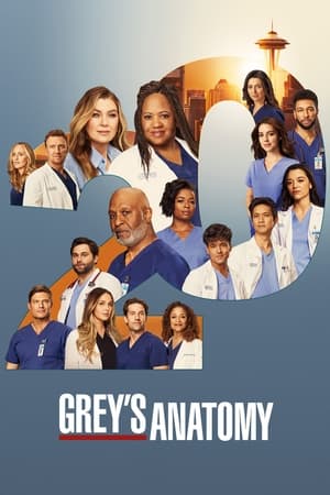 Grey's Anatomy Season 20