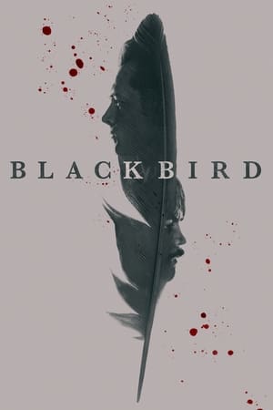 Black Bird Season 1
